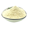 Gluten de blé vital
