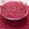 Poudre de racine de betterave