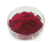 Utilisation thérapeutique de poudre rouge foncé stable de vitamine B12